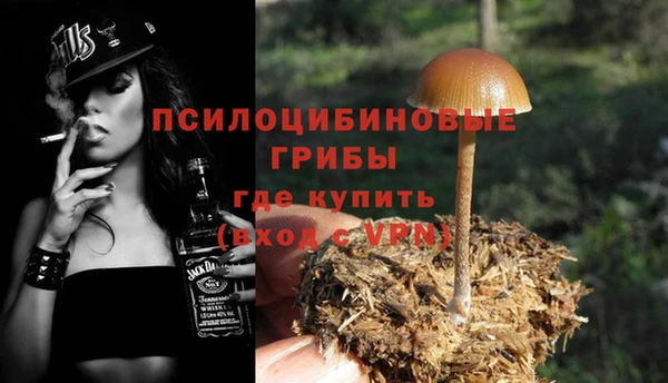 крисы Россошь