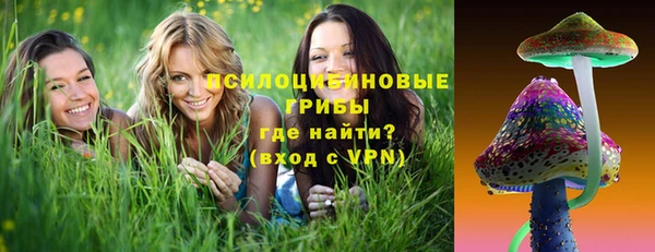 крисы Россошь