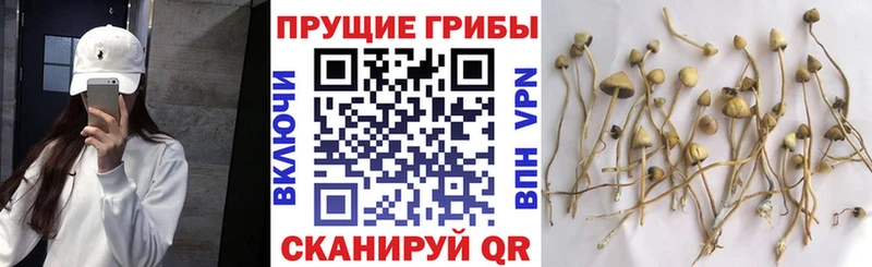 Галлюциногенные грибы мухоморы купить наркотик Урень